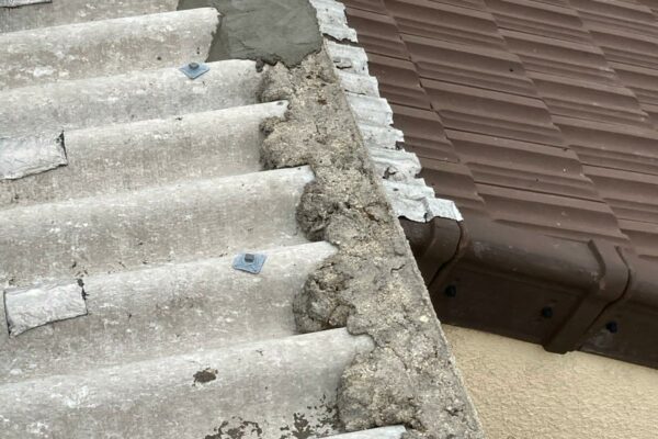 Renovation et peinture toiture6