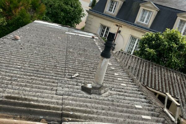 Rénovation et peinture toiture