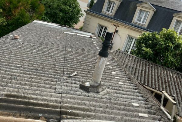 Rénovation et peinture toiture