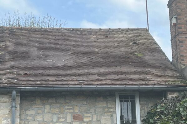 Réparation et protection toiture